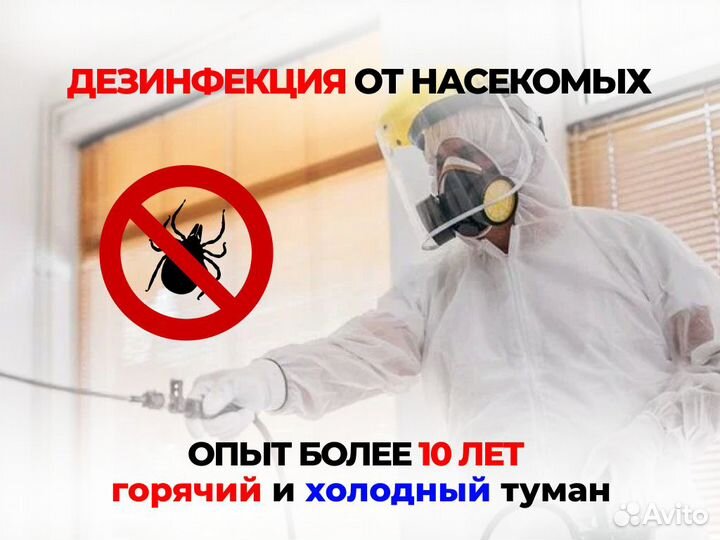 Дезинфекция. Травить Тараканов, Уничтожение клопов