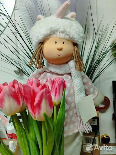 Орхидея фаленопсис