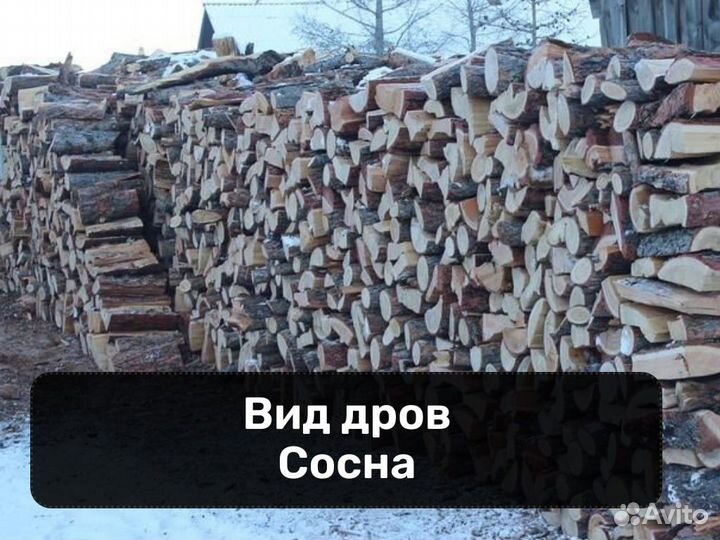 Дрова / Красноярск