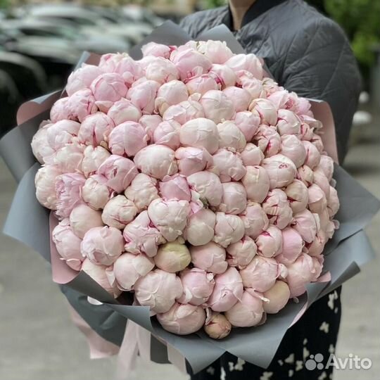 101 Пион с Доставкой, пионы