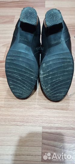 Сапоги осень весна женские