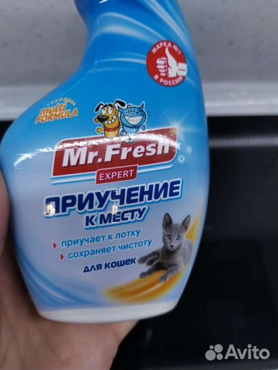 Приучение к месту для кошек