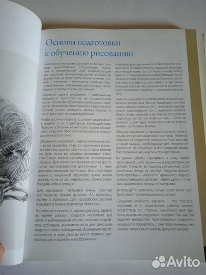Книга для художников, Анатомия