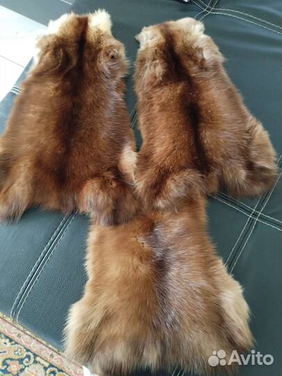 Шкурки соболя