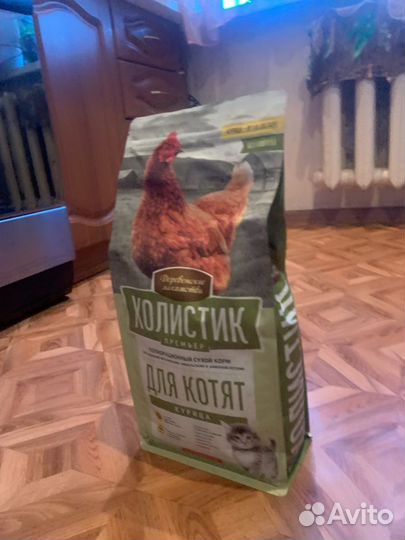 Корм для котят