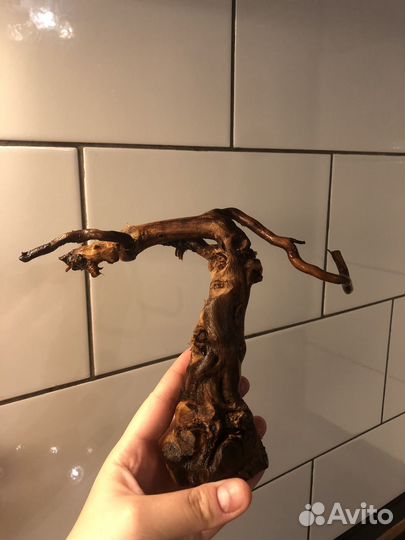 Коряга в аквариум