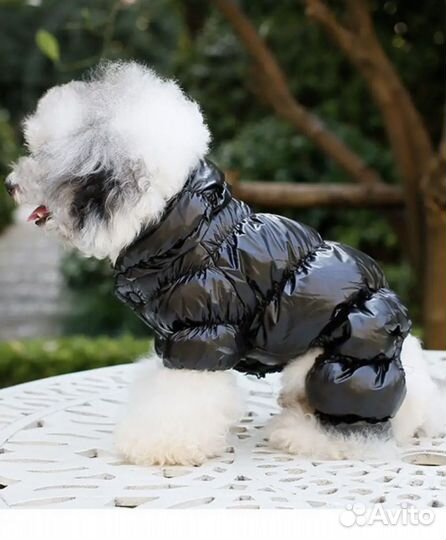 Зимний комбинезон для маленькой собаки