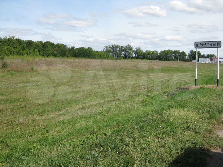 Участок 3,03 га (ИЖС)