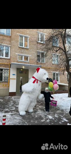 Белый Мишка. Москва