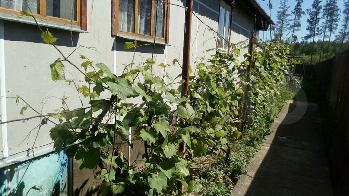 Дом 157 м² на участке 10 сот.