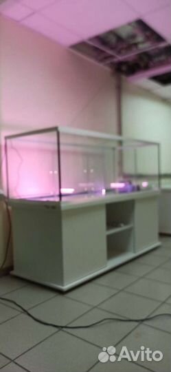 Аквариум 500 для торговли живыми раками, трёх сек