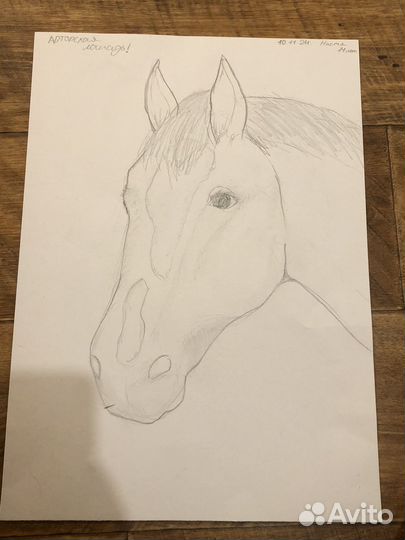 Нарисую вашу лошадку