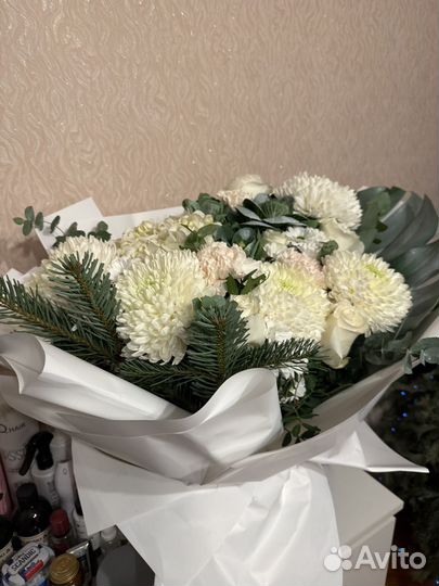 Хризантема