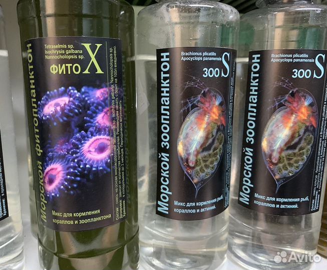 Фитопланктон и Зоопланктон для морского аквариума