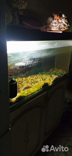 Аквариум 150 литров