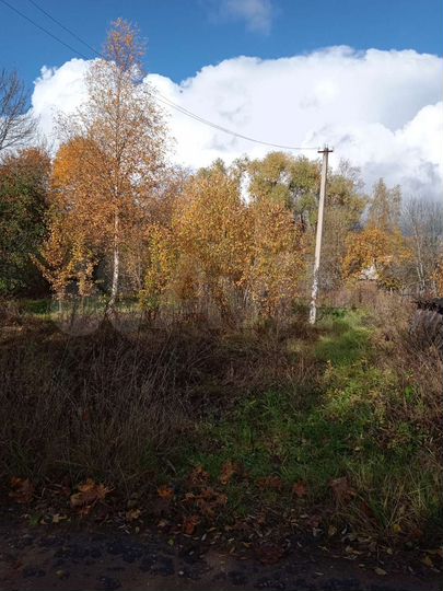 Участок 24 сот. (ИЖС)