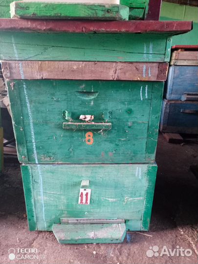 Ульи дадан 12