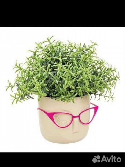 Кашпо Стив и Мари