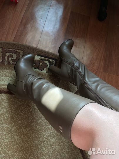 Сапоги трубы zenden натуралка