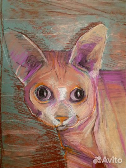 Картина Лысый кот