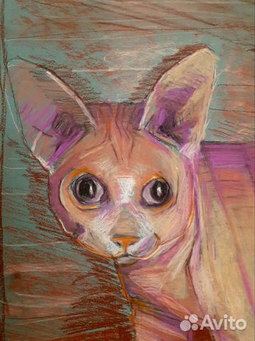 Картина Лысый кот