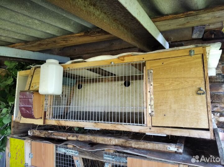 Ниппельные поилки для кроликов с подогревом и без