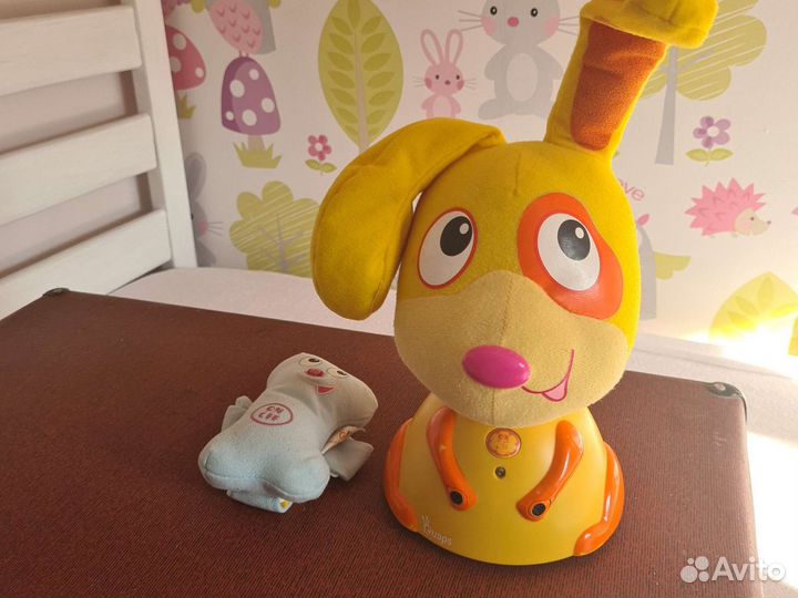 Максик с косточкой