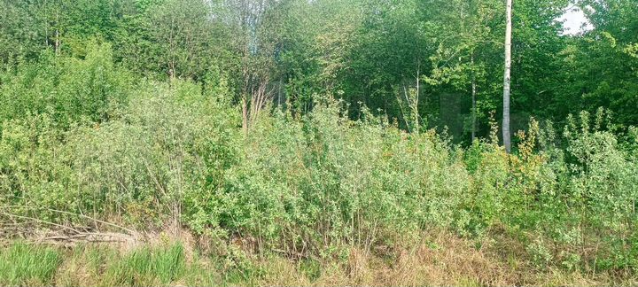 Участок 14 сот. (ИЖС)