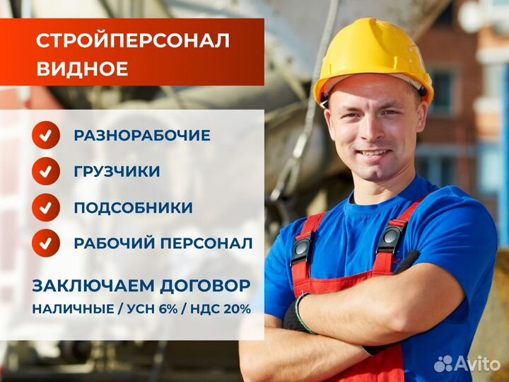 Разнорабочие (Видное)