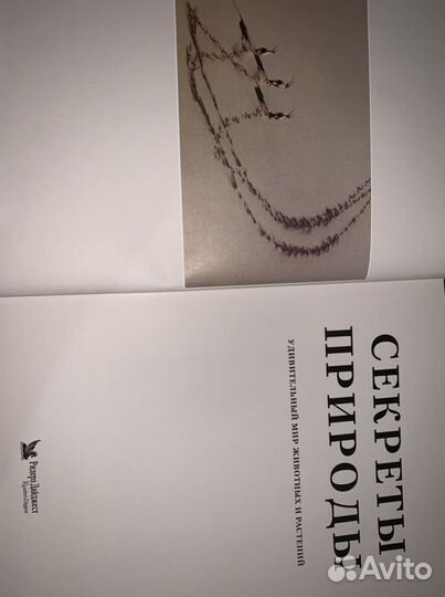 Секреты природы. Удивительный мир животных и расте