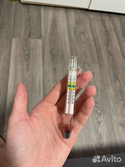 Фильтр для аквариума и градусник