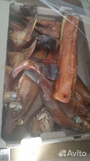 Рыба от производителя
