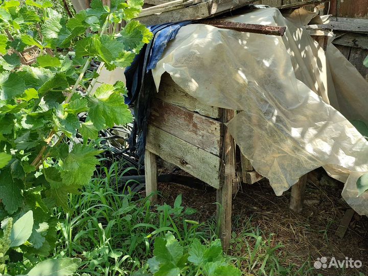 Продам кролики и клетки