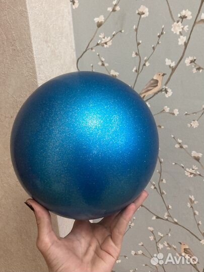 Гимнастический мяч