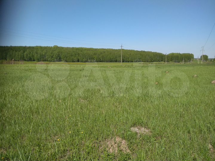 Участок 6,1 га (СНТ, ДНП)