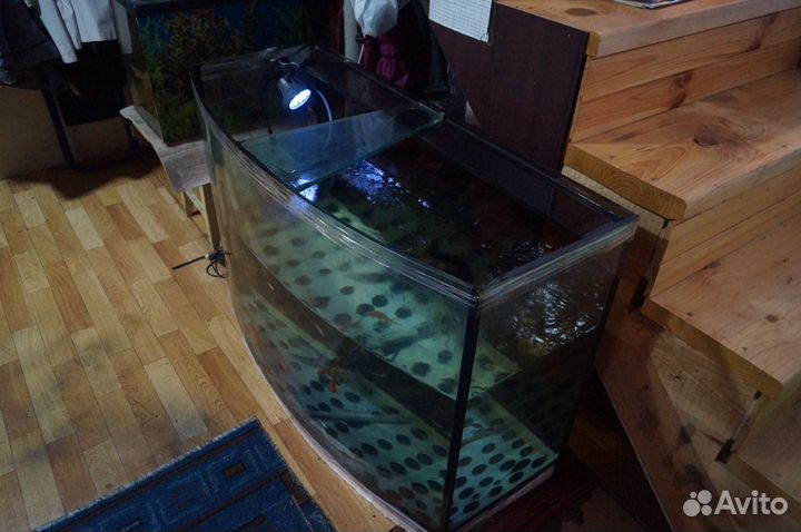 Аквариум 350 литров