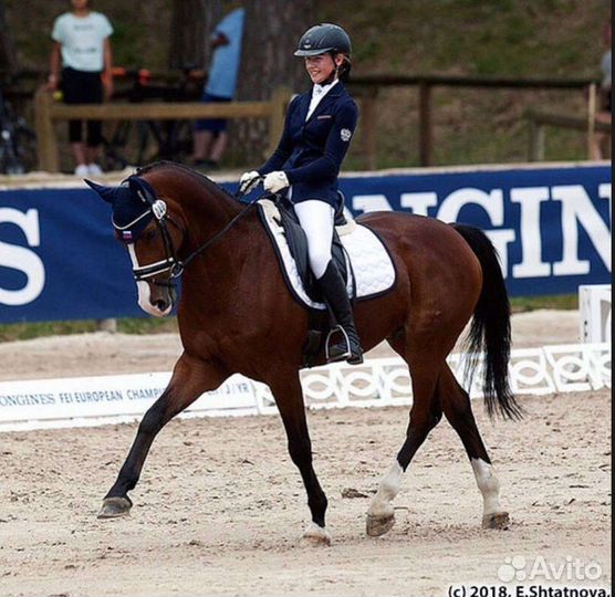 Тренировки по конному спорту