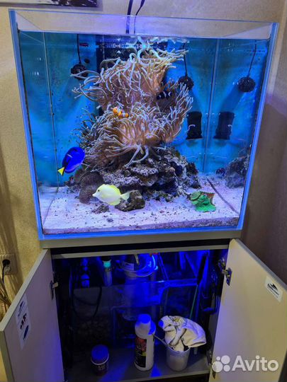 Морской аквариум