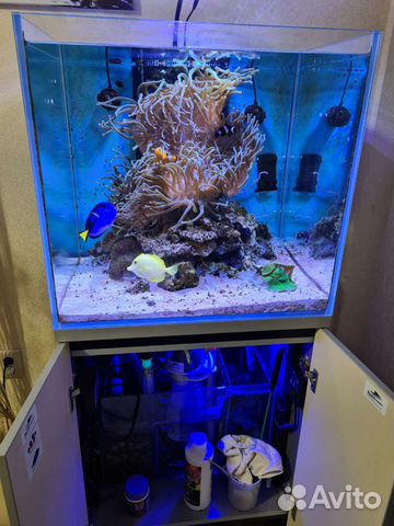 Морской аквариум