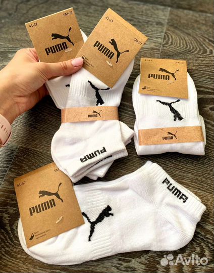 Носки, набор носков