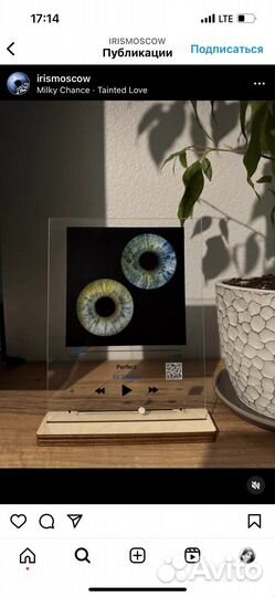 Фото радужки глаза