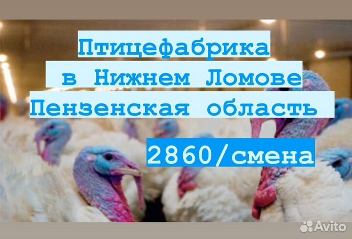 Вахта упаковщики оплачиваем проезд