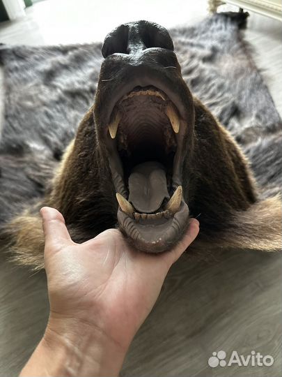 Шкура медведя (имитация)