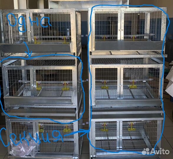Клетки для кур несушек и бройлеров