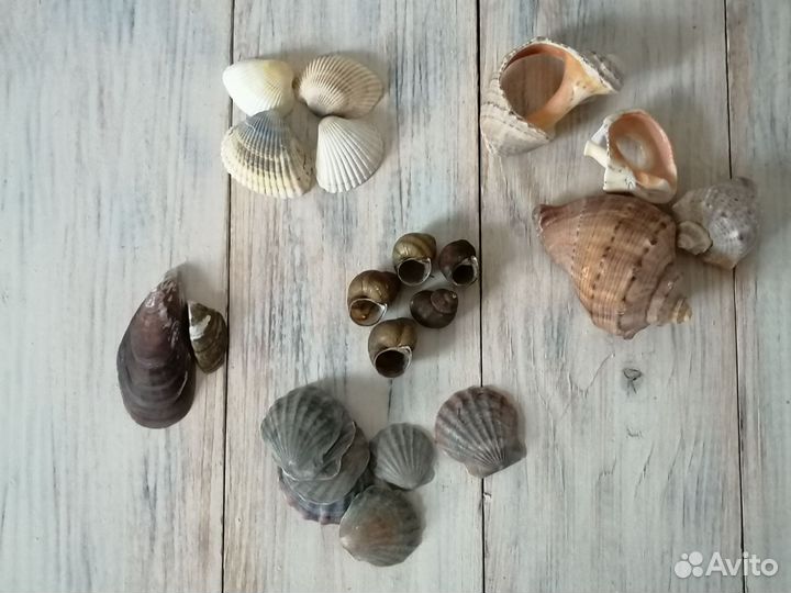 Природный материал для творчества