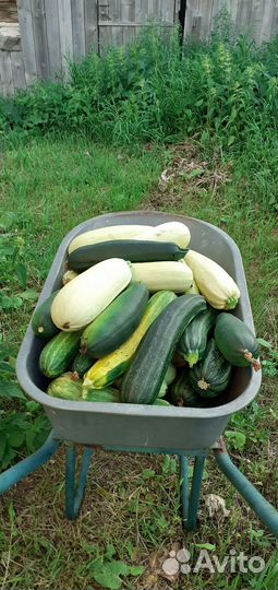 Куры суповые. Картофель. Заморозка. Травы