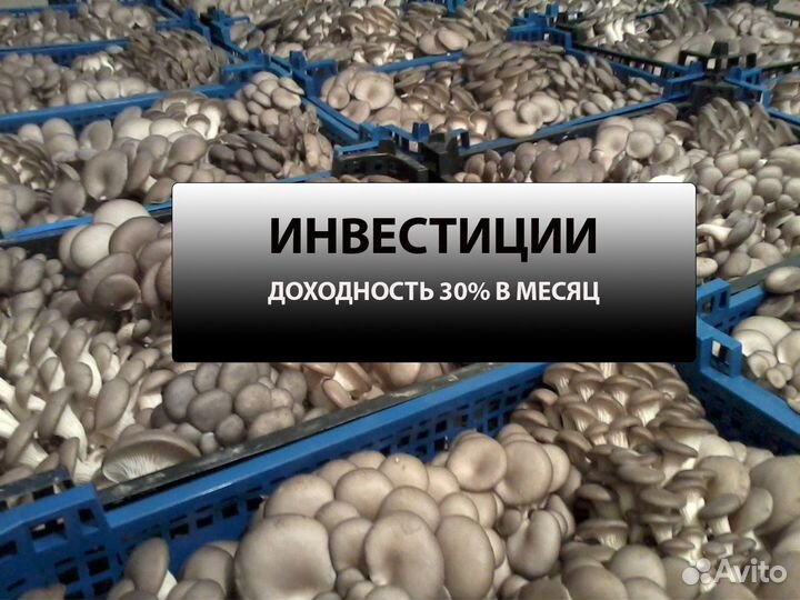 Инвестиции