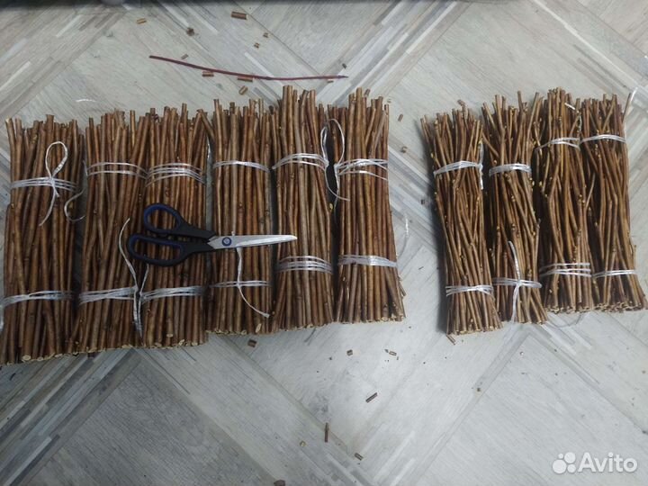 Черенки Спиреи рябинолистной(рябинник)