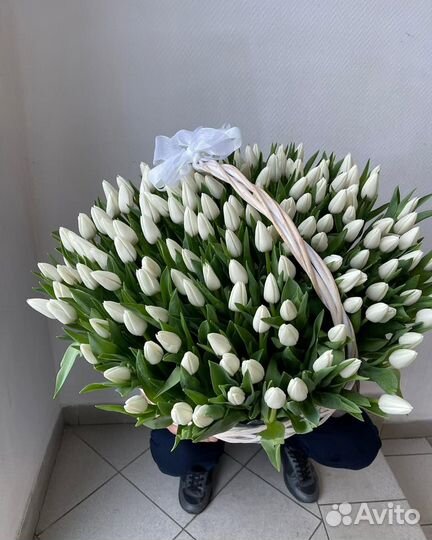 Тюльпаны 51 шт