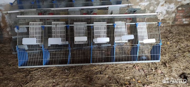 Продам клетки (секции) для кроликов